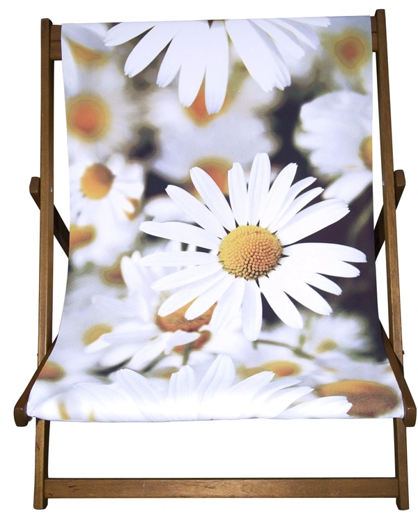  Daisies Wideboy 1