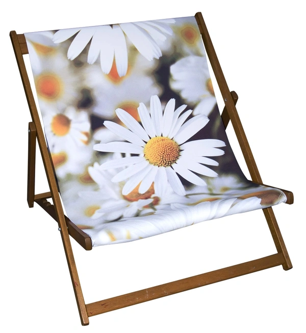  Daisies Wideboy 2